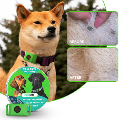 PawSafe™ 12-Month Natural Flea & Tick Protection